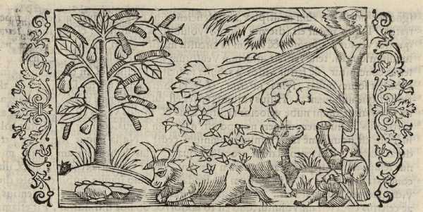 01_12.jpg (42061 Byte)