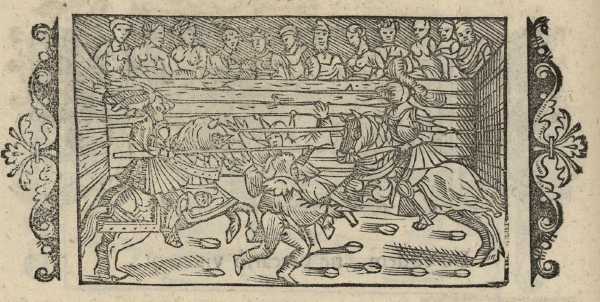 15_18.jpg (37894 Byte)