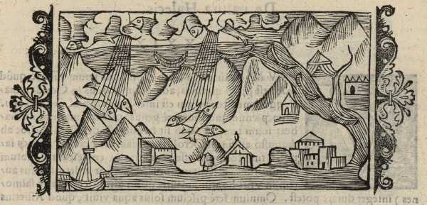 20_30.jpg (37499 Byte)