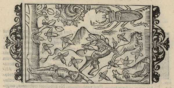 22_03.jpg (39444 Byte)