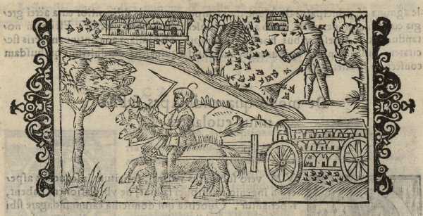 22_09.jpg (38805 Byte)