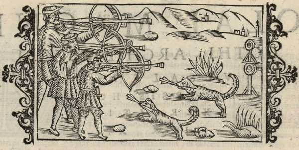 15_01.jpg (38236 Byte)