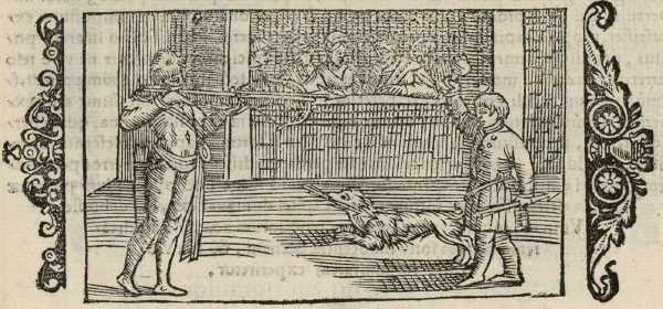 15_03.jpg (37375 Byte)