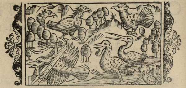 19_01.jpg (37480 Byte)