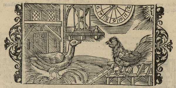 19_10.jpg (39307 Byte)