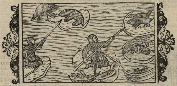 20_04.jpg (38630 Byte)