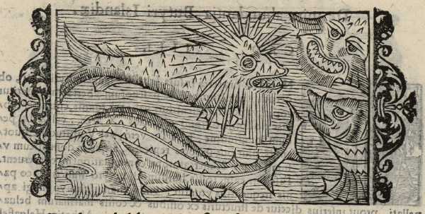 21_05.jpg (42102 Byte)